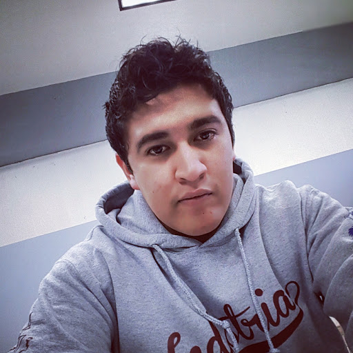 Foto del perfil de luis ortiz