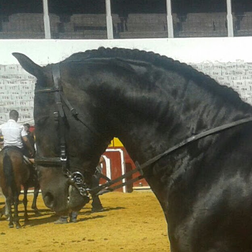 Foto del perfil de mario perez