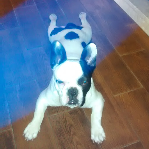 Foto del perfil de Mario DP