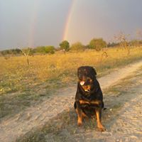 Foto del perfil de Jose Maria Dama