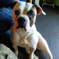 Foto del perfil de Mario Mario Marios