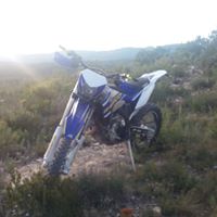 Foto del perfil de Jordi Moya