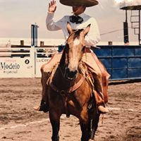 Foto del perfil de Eduardo Mercado